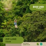 Tour de tirolesa en la selva de la Sierra Madre de Puerto Vallarta, $103 USD por persona