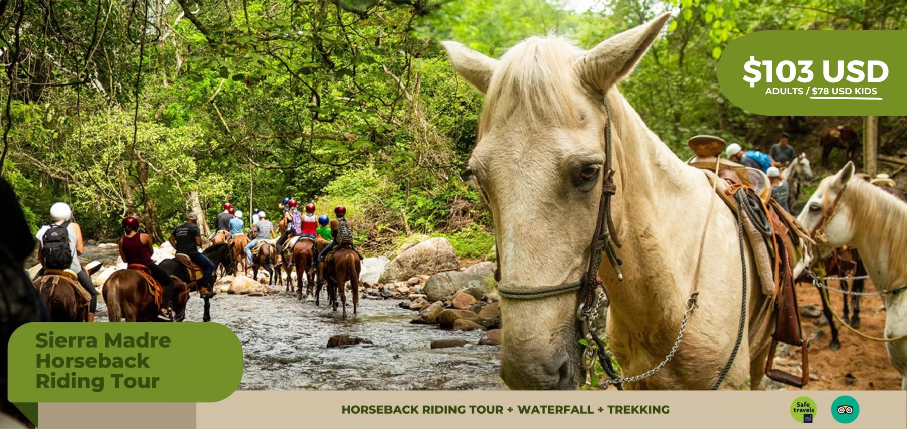 Caballo blanco en Rancho Capomo listo para el tour en caballo a la cascada, Las Palmas, Puerto Vallarta