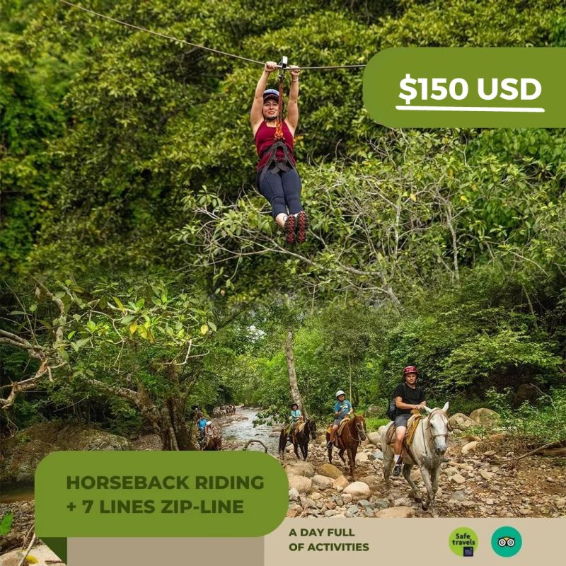 Horseback Riding + Zipline Tour