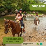 Tour a caballo en Puerto Vallarta: jinete en un caballo bayo cruzando un río de la selva, $103 USD
