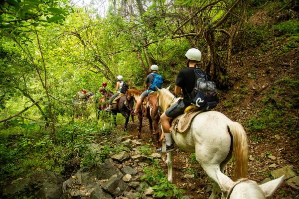 Jinete en un caballo blanco por un sendero de selva en el tour en caballo de Rancho Capomo