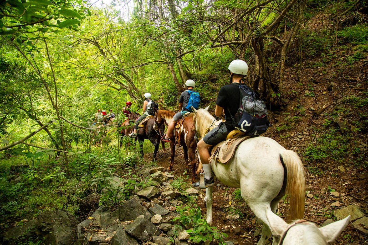 Unleash Your Adventurous Spirit: Horseback Riding Tour in Puerto Vallarta