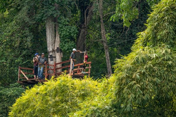 Plataforma de tirolesa construida en las copas de los árboles de la Sierra Madre, Rancho Capomo
