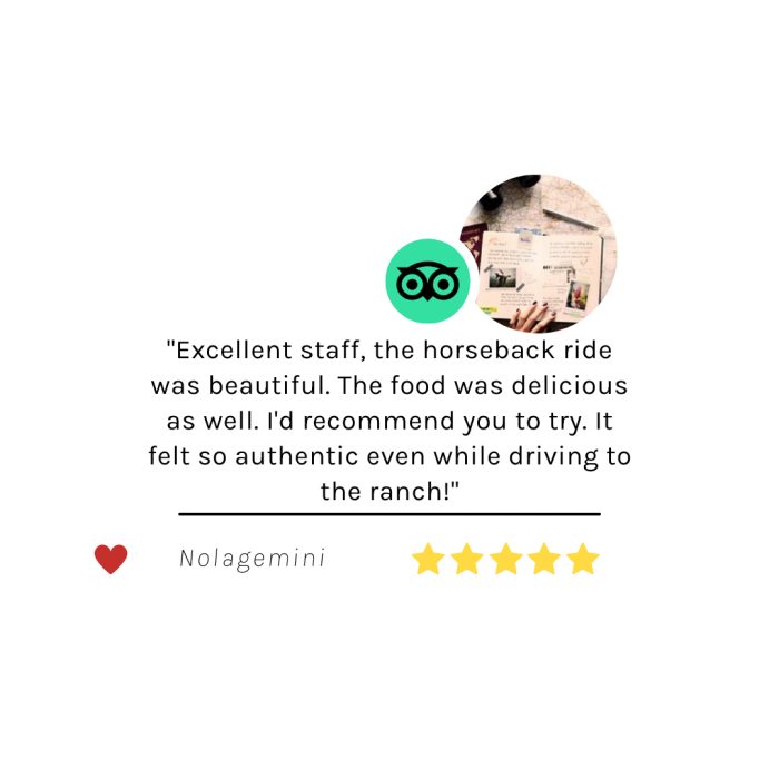 Google review of Rancho Capomo Tours #9