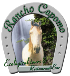 Rancho Capomo Tours